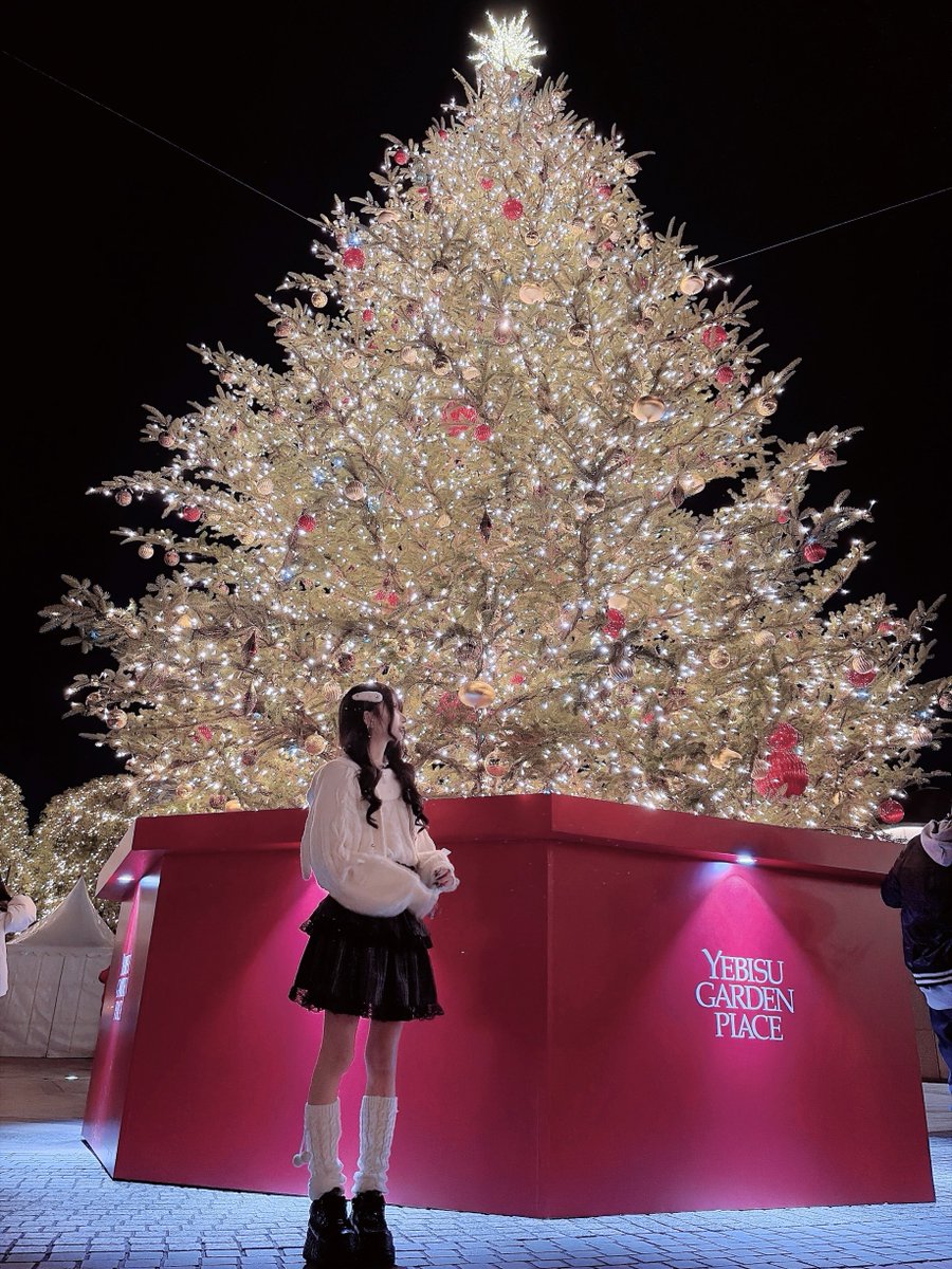 クリスマスなにするの？❅*॰ॱ