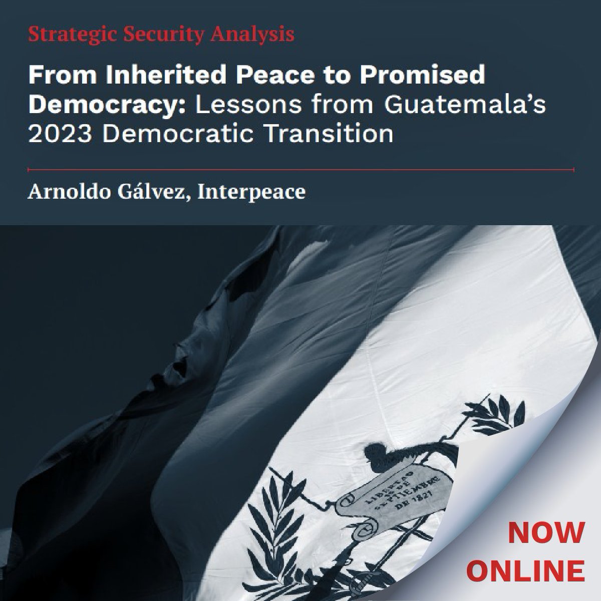 Interpeace tweet media