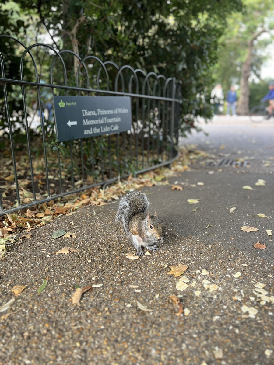 ciksepul's tweet photo. Next morning di Hyde Park. https://t.co/w9y31VE3ng