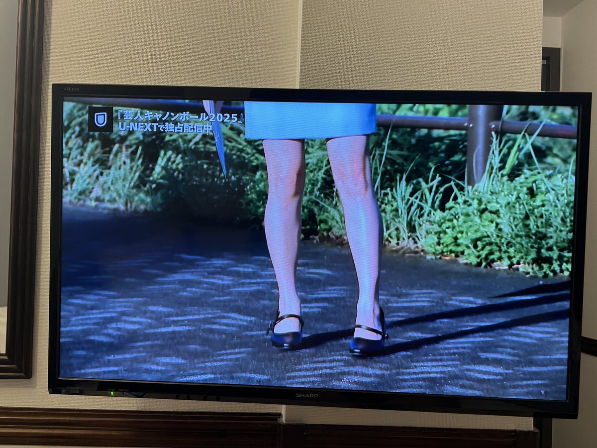 たまちゃんページ たま🍳🐾 (@pearl_live_) / Posts / X