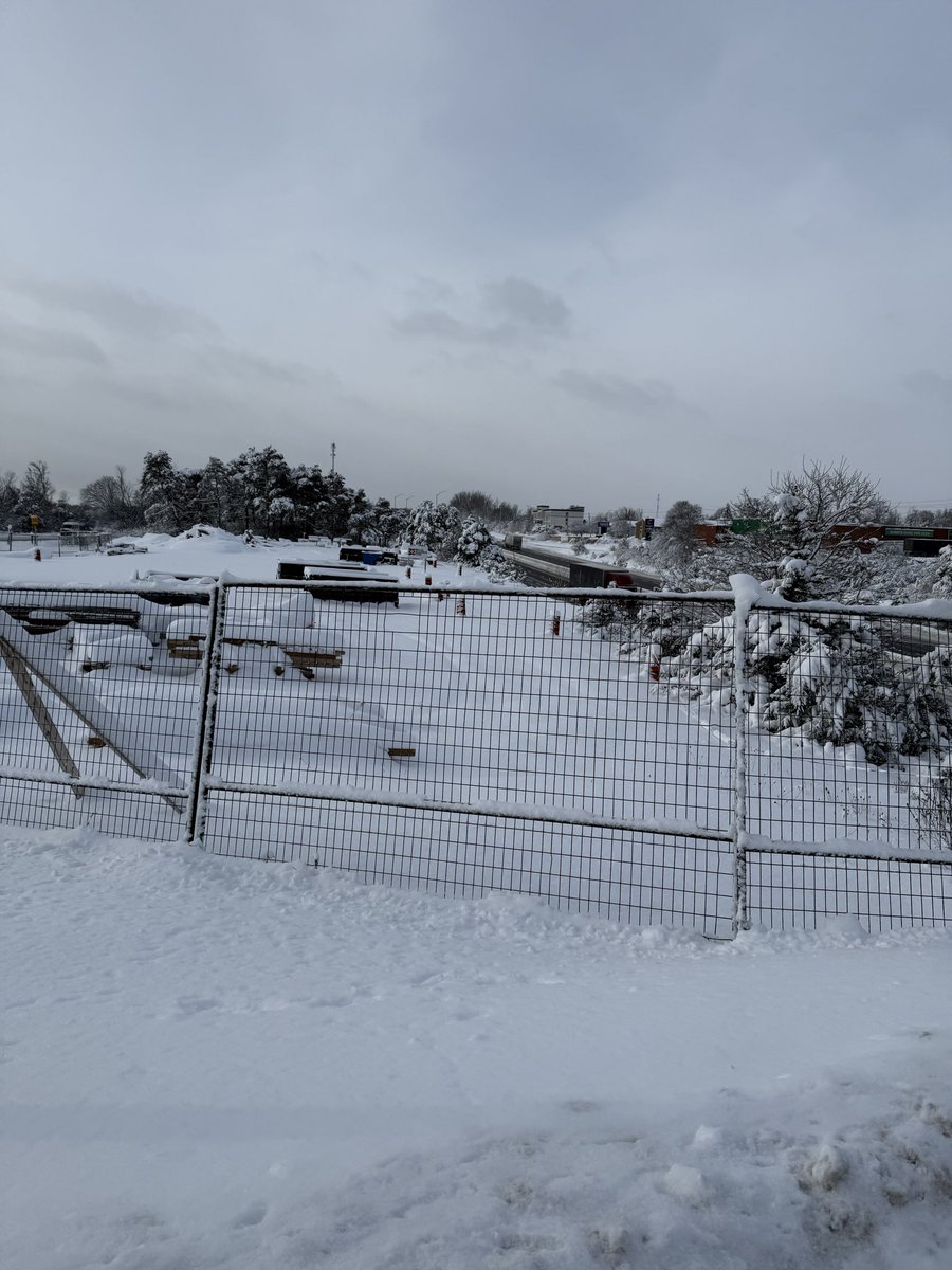 Tom Williams tweet media