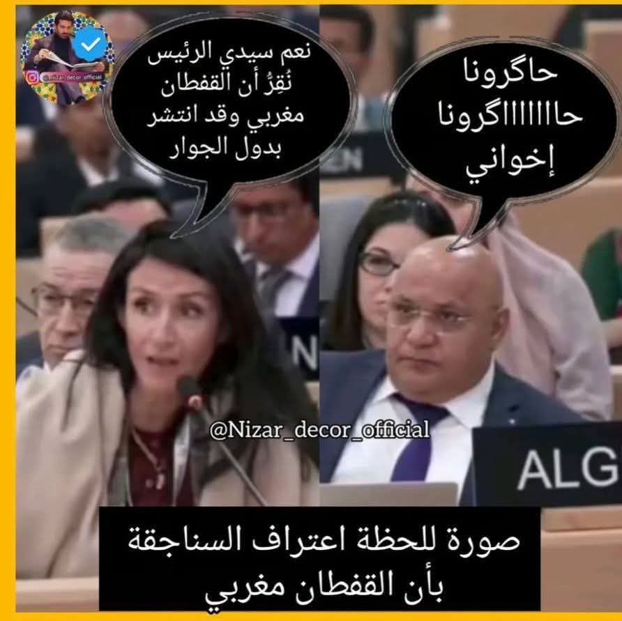 ZTourdi's tweet photo. @bbiMarwa3035 @Ahmed_9assimi_1 @IssamElazizi الكرغلية باقي عندك الوجه تزيدي تنبحي راه حتى الوفد ديالكم عصر حتى عياو ونبحو حتى سخفو وفي الاخير نزلوا قدام سيادهم المغاربة صاغرين وعتارفو بأنه مغربي والى كان على كمامركم راه عوجناها ليكم من كثرة التصرفيق سيري كوني تحشمي https://t.co/SoCBL5f2Nj