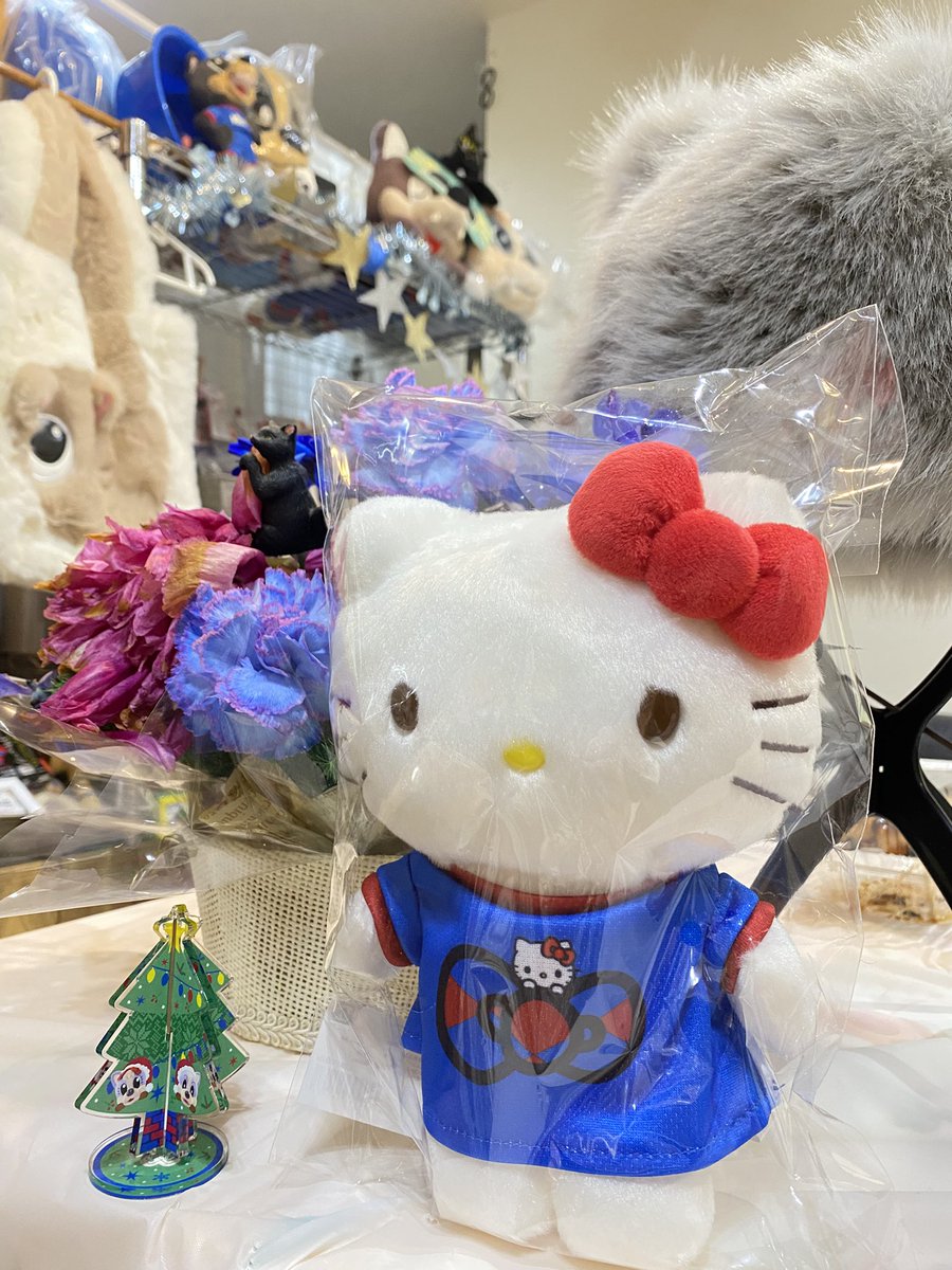 しのぶ (@shinobu238) / Posts / X