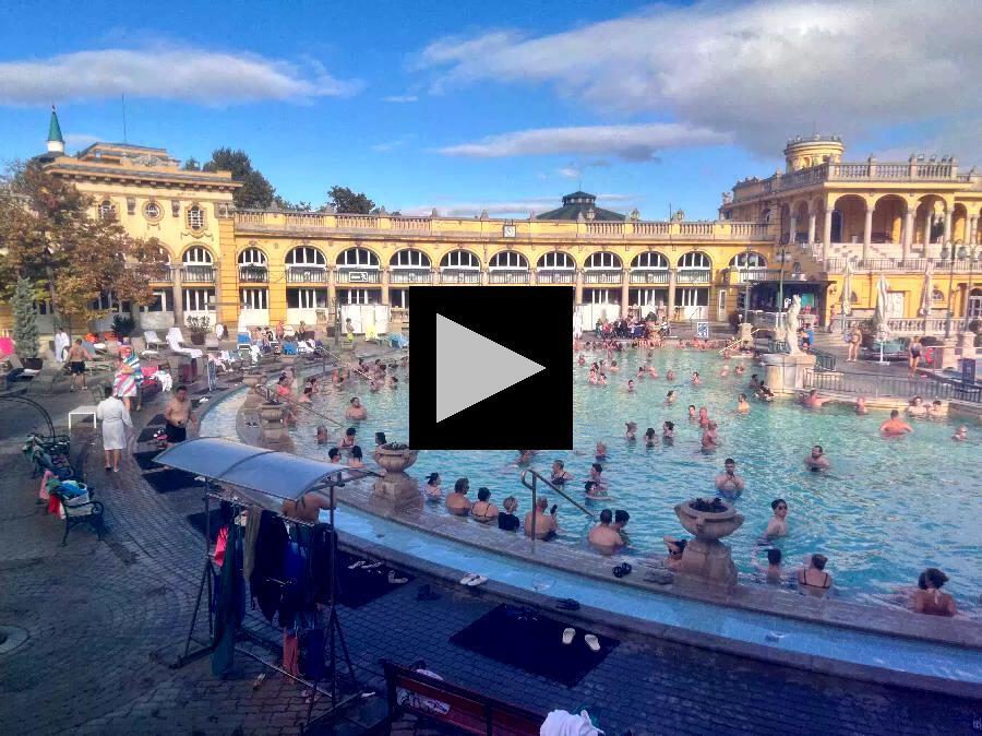 Soak up the Benefits of Thermal Waters in a "Palace"! 

Visited 2 #BathHouses in #Budapest ; Favorite was #SzechenyiBath in #Pest - relaxing #HotSprings were perfect end to 1st 10 days overseas.  #WordyExplorers #hungary  
ift.tt/LBju8Sr