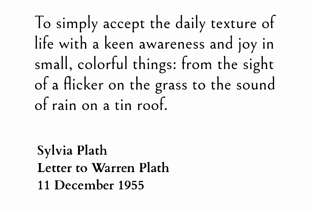 NostosLit's tweet photo. ― Sylvia Plath https://t.co/xfvKr0hjFg