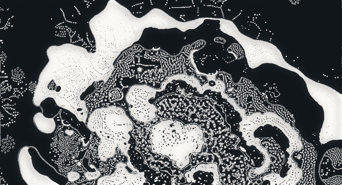 Water Studies 
30 Artworks
Releasing on Monday the 15th.
<a href="/verse_works/">Verse</a> 
🪸