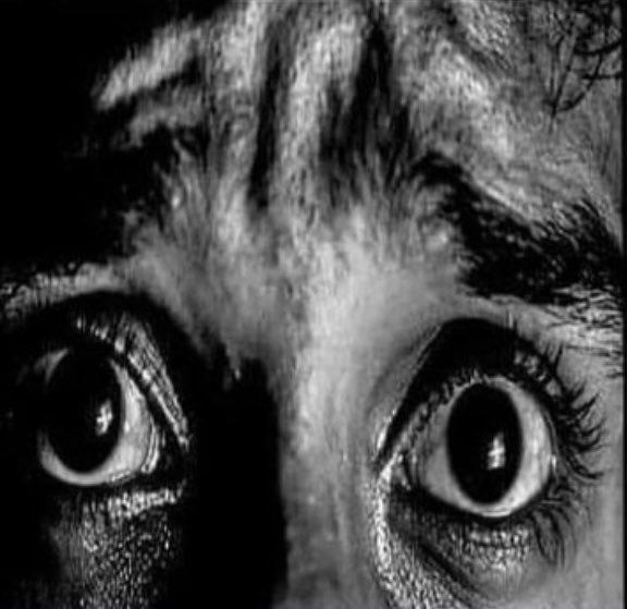 ShitpostGateway (@shitpostgate) on Twitter photo 