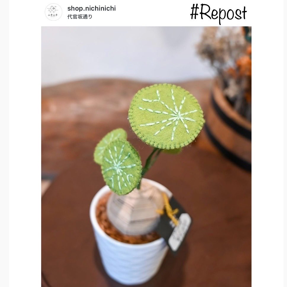StitchripperD's tweet photo. 🌵先日ニチニチ元町店さんに納品したステファニアです💚Instagramの写真をリポストしています
#stephania #erecta #pierrei
《ニチニチ元町店》
▫️ 横浜市中区元町1-73-17
▫️みなとみらい線「元町・中華街駅」5番元町出口より徒歩4~5分
▫️営業日(水)(木)(金)(土)(日)11:00~18:00 https://t.co/E2koTf9NLC