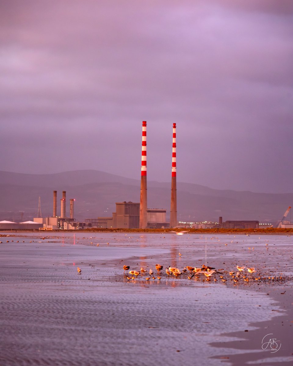 AnnBruen's tweet photo. Golden hour and breakfast time with the Poolbeg Chimneys this morning ❤️
#dublinmornings #bullisland #poolbegchimneys 

@DublinPortCo @VisitDublin @LovinDublin https://t.co/XROz2jf51M