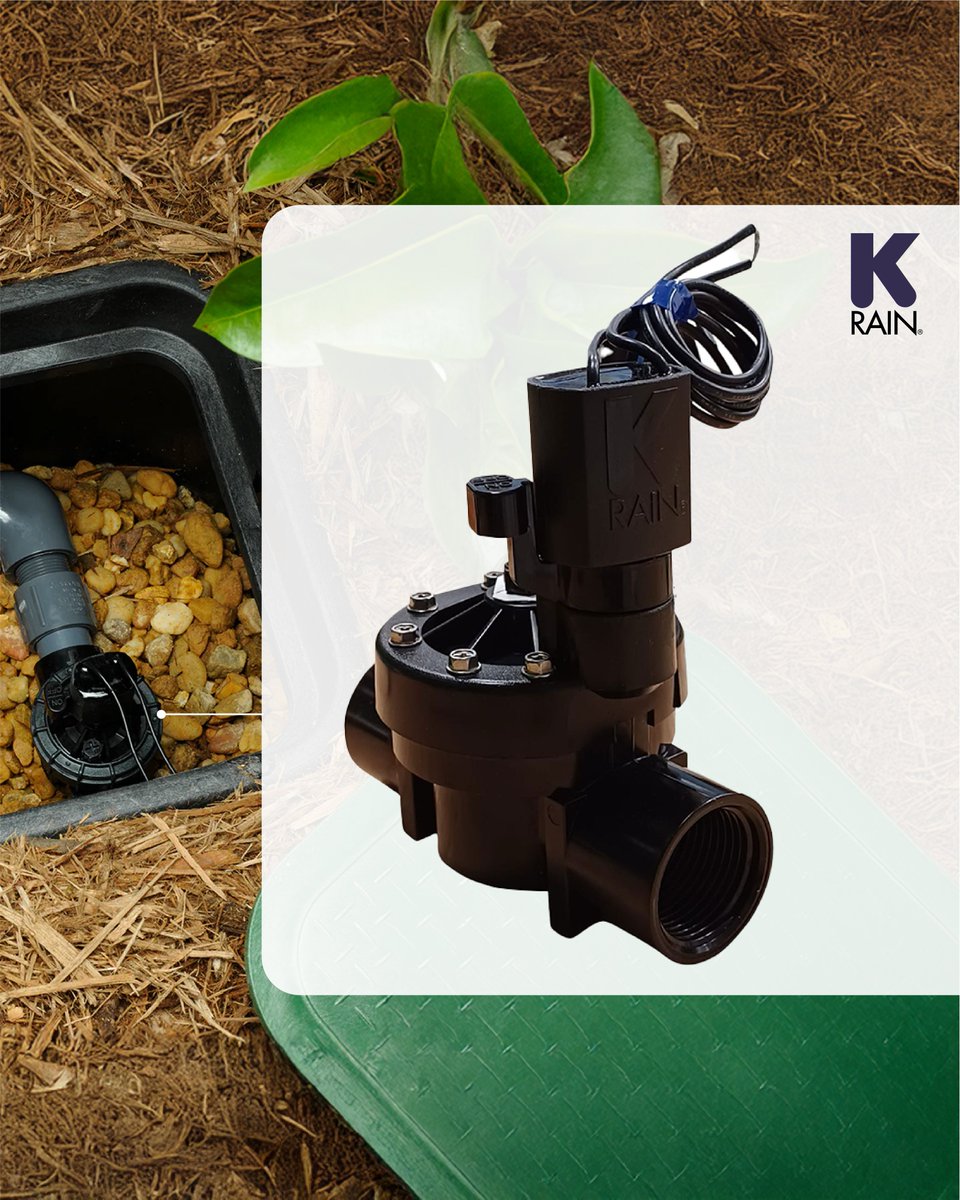 SureRain's tweet image. 💦 Válvula Solenoide K-Rain Pro 150

Una opción confiable para quienes buscan precisión y estabilidad en sus sistemas de riego. Su diseño profesional y construcción robusta garantizan un funcionamiento seguro.