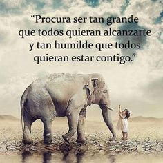 El don de la humildad:
 Muchos quieren más para ser admirados
 Poder para ser temidos
 Títulos para sentirse superiores.

Pocos buscan sabiduría o virtud sin esperar aplausos.  
  Muchos hacen el bien solo por reconocimiento.
 Los verdaderamente grandes no presumen. 

Llevan su