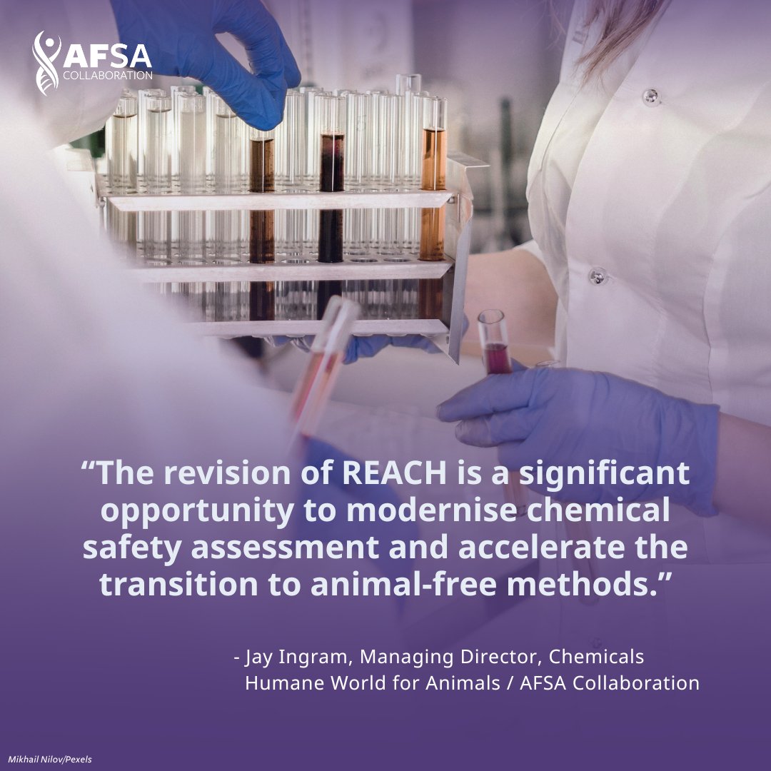Animal-Free Safety Assessment (AFSA) Collaboration tweet media
