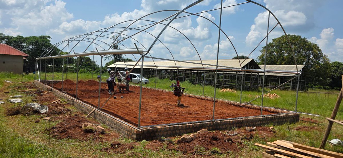 Farmtechuganda's tweet photo. Proud to unveil our newly constructed solar dryer an eco-friendly solution designed for efficient, natural drying. #farmtech #modernfarming https://t.co/IQqsi19tGQ