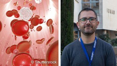 icmabCSIC tweet media