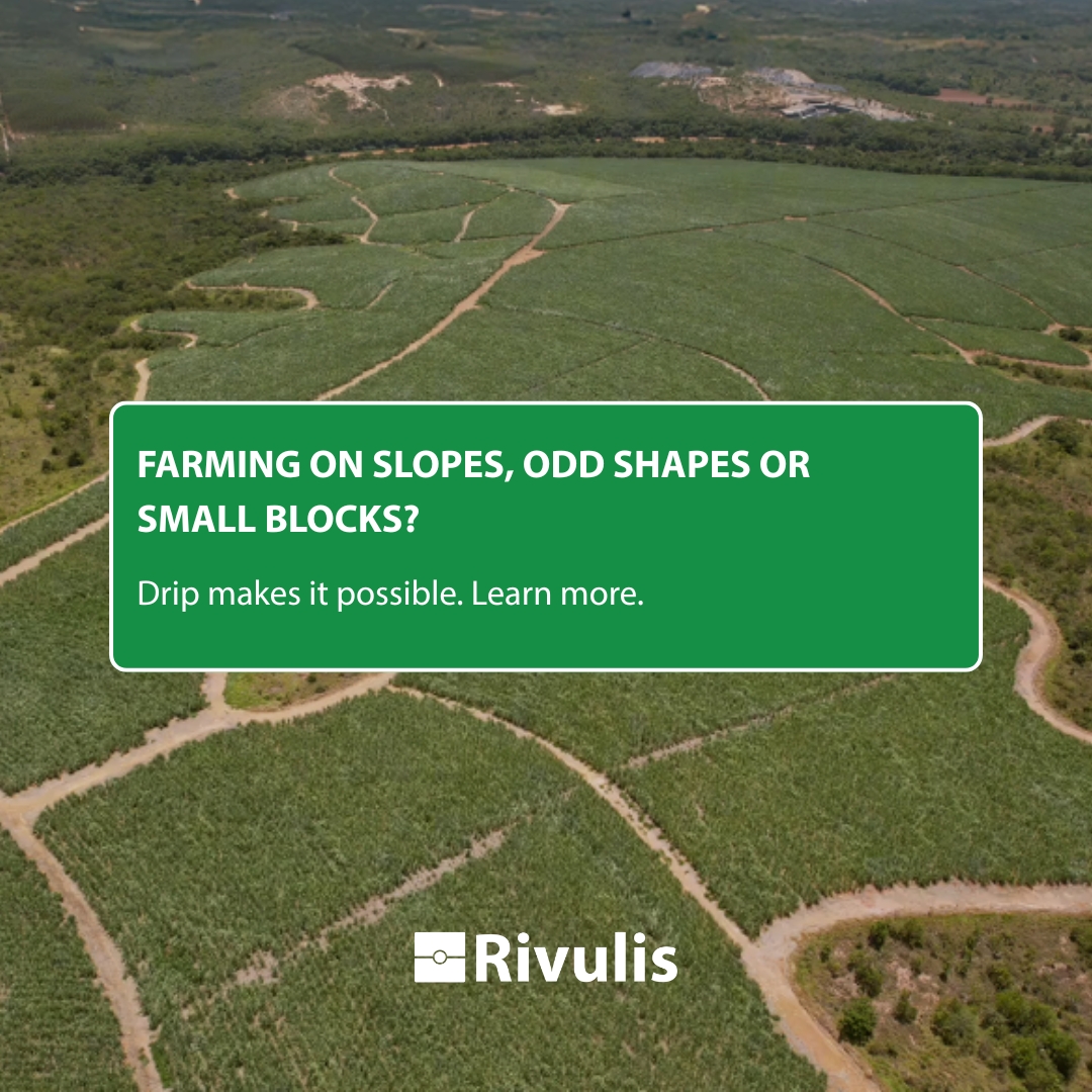 Farming on slopes, odd-shaped fields, or small blocks?
No problem.
Drip irrigation makes it possible - and profitable.
👉 Learn how: bit.ly/3KLviek

#DripIrrigation #Rivulis #SmartFarming #SlopeFarming #DripIrrigation #GrowBeyond #Rowcrops