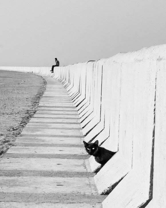 Marie (@m77481070) on Twitter photo 