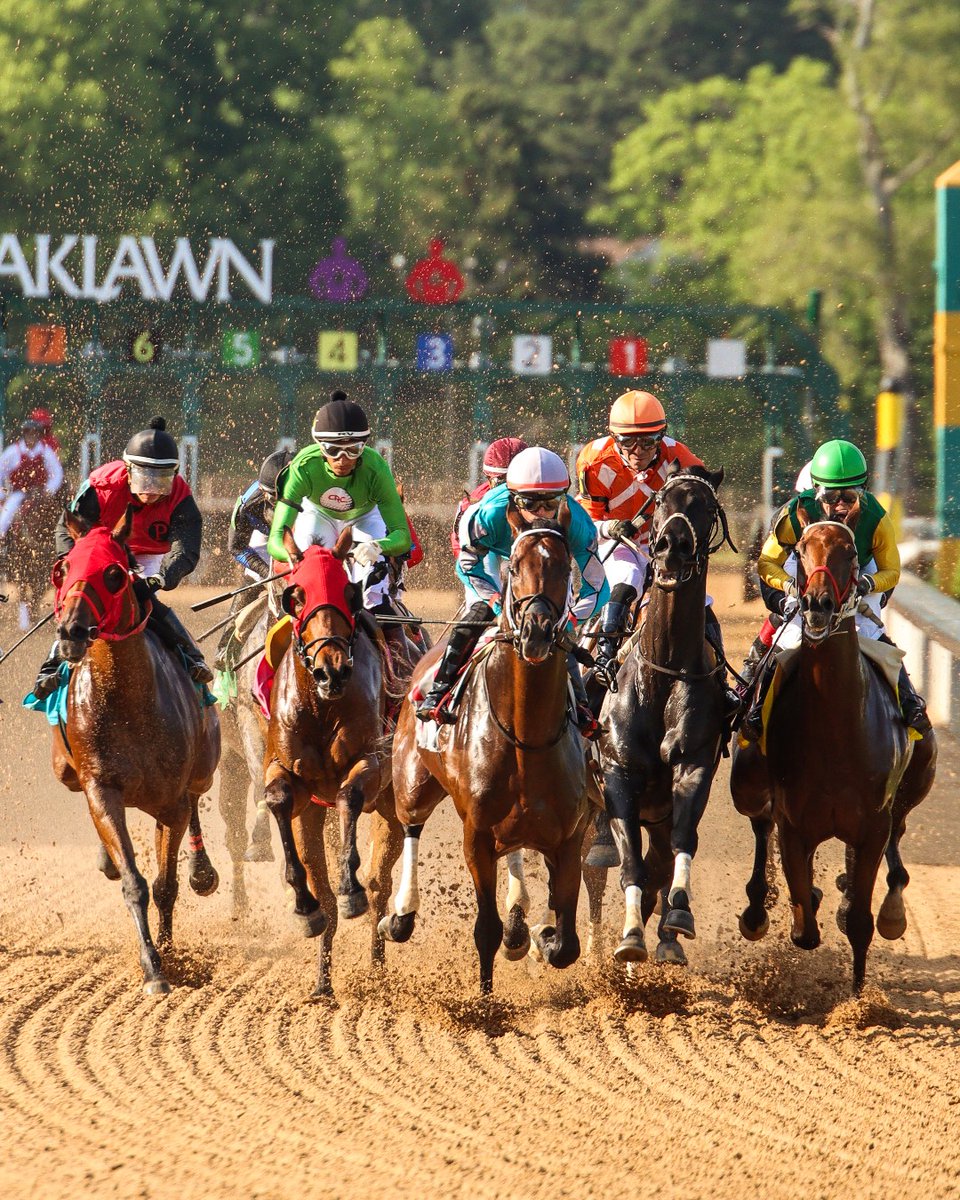 OaklawnRacing's tweet image. This is not a drill — Opening Day is in ONE DAY. Let’s run it 🏇✨