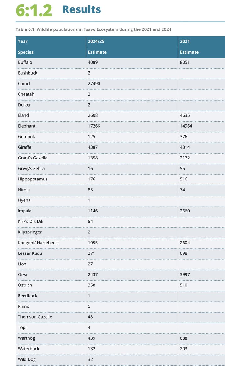 Hannes Kächele tweet media