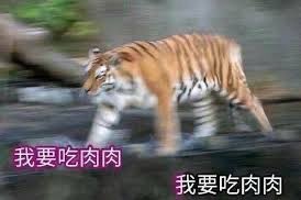 擴擴擴闊約雞鳥紫🥝 tweet media