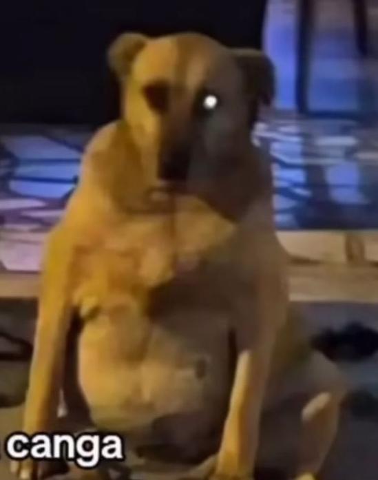 <a href="/GislaVL/">ezgi</a> ay