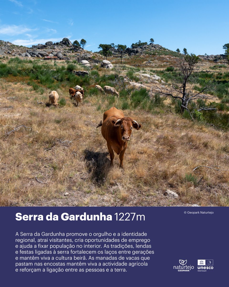 Geoparques UNESCO – Portugal tweet media
