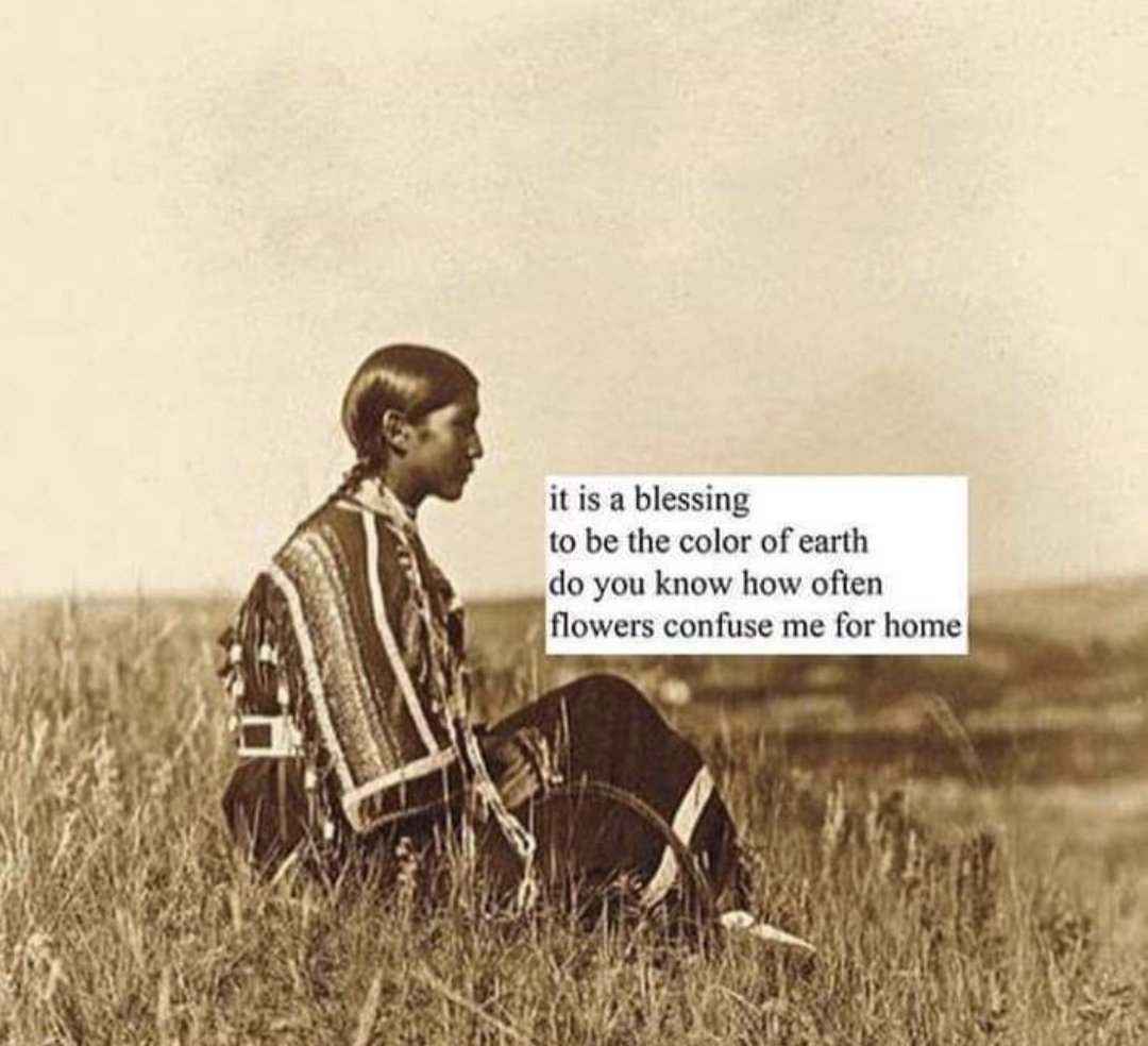 Make America Native Again