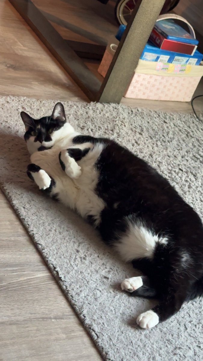 Had to Say Goodbye to Yoshi