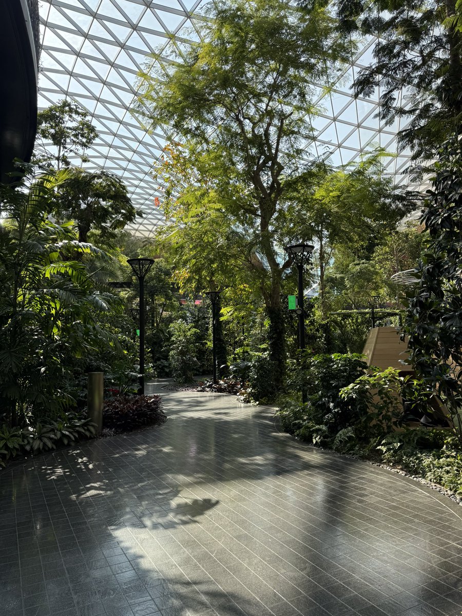 Jonathan DeYoung tweet media