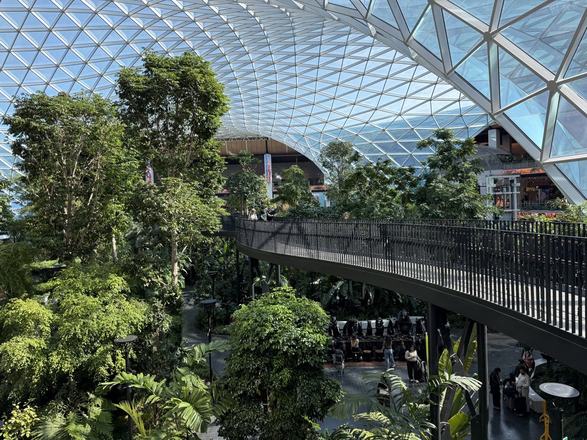 Jonathan DeYoung tweet media