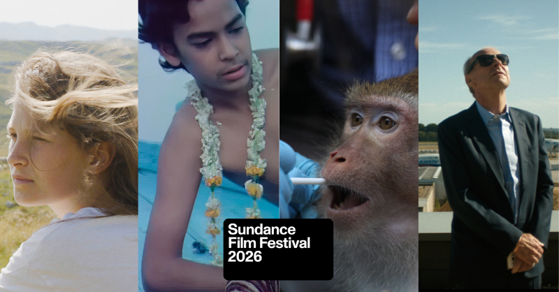 Dogwoof Sales tweet media