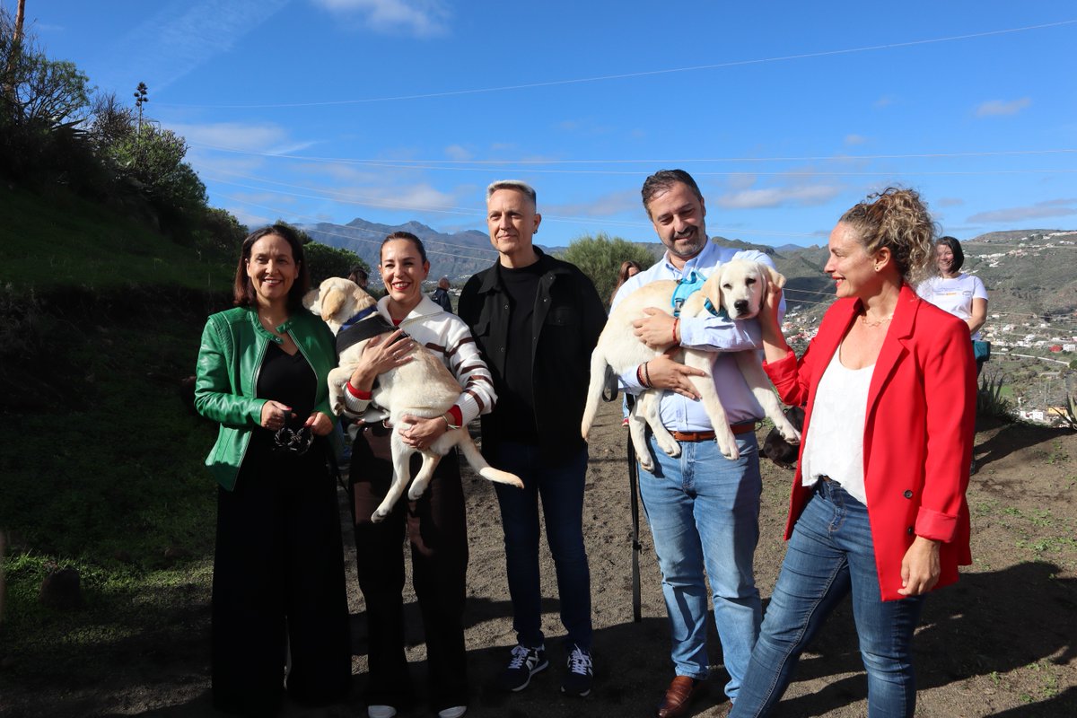 TurismoGobCan's tweet image. 🐾 Desde el @SCEmpleo impulsamos un proyecto pionero en España y Europa: un Programa de Formación en Alternancia con el Empleo para formar a 20 personas como instructoras de perros de asistencia.