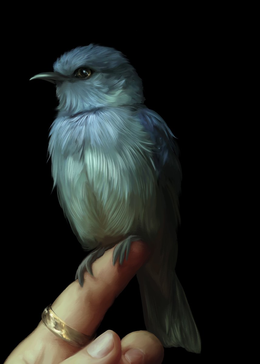 Christine_Clue's tweet image. Gm with birdie in progress😊🪽