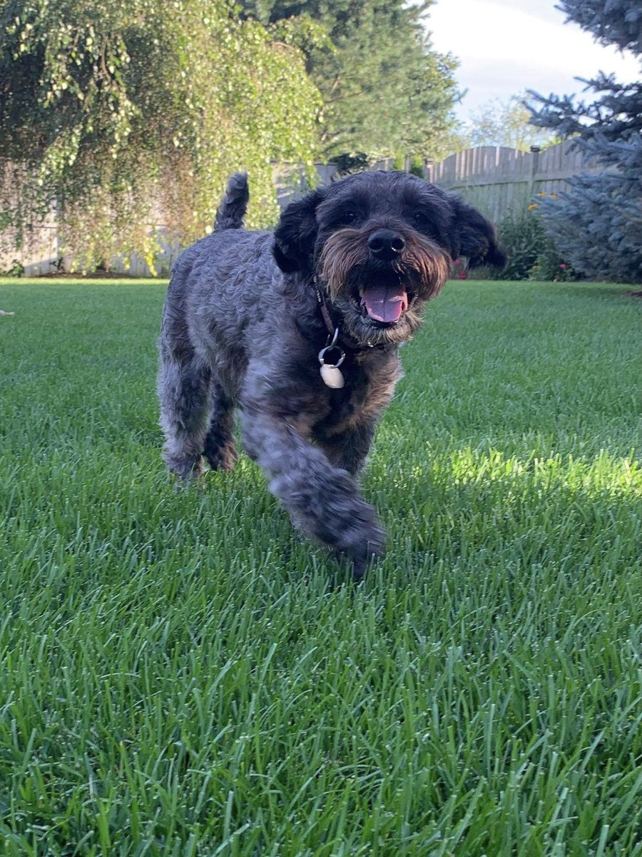 Jill Davis tweet media