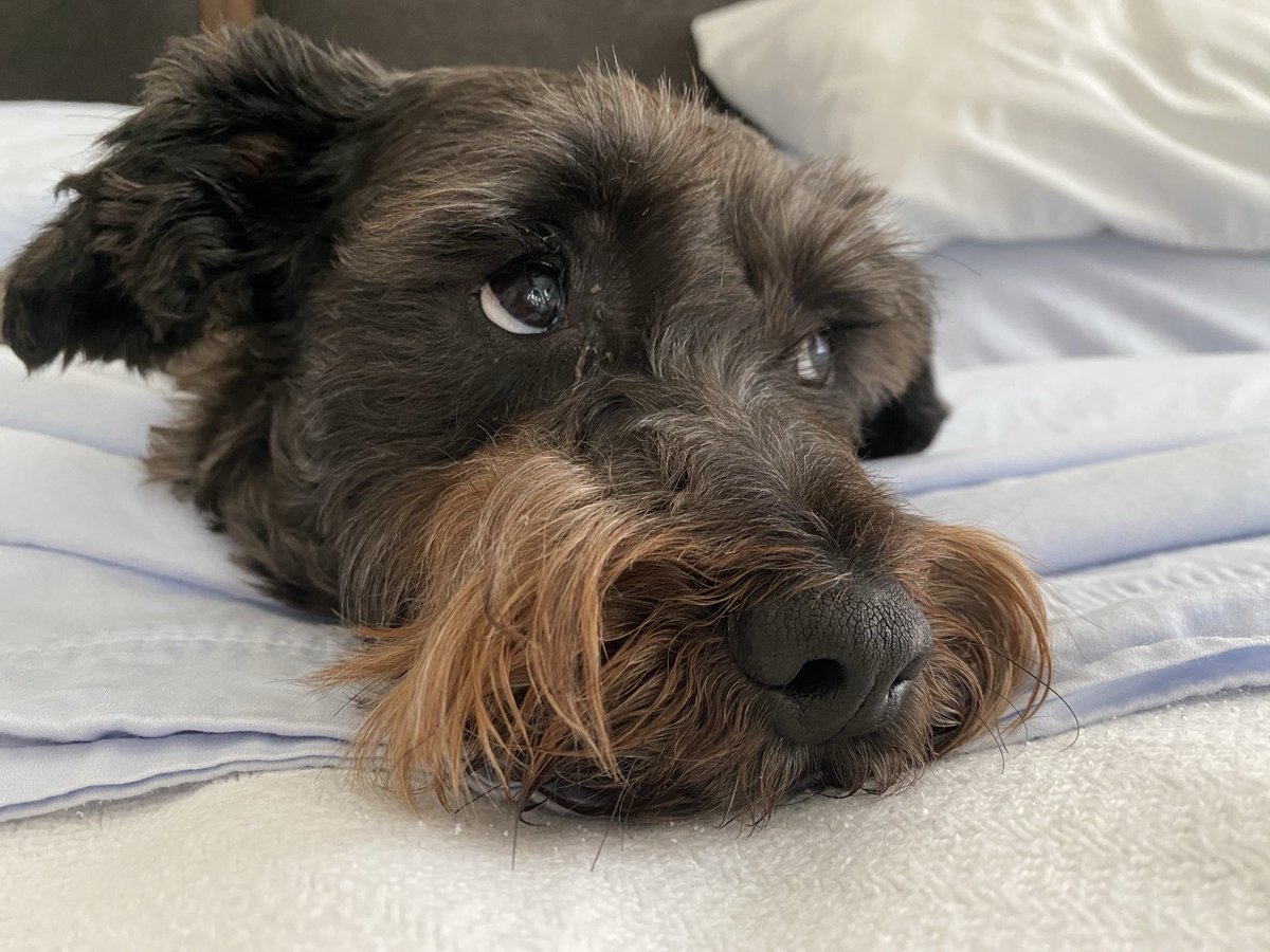 Jill Davis tweet media