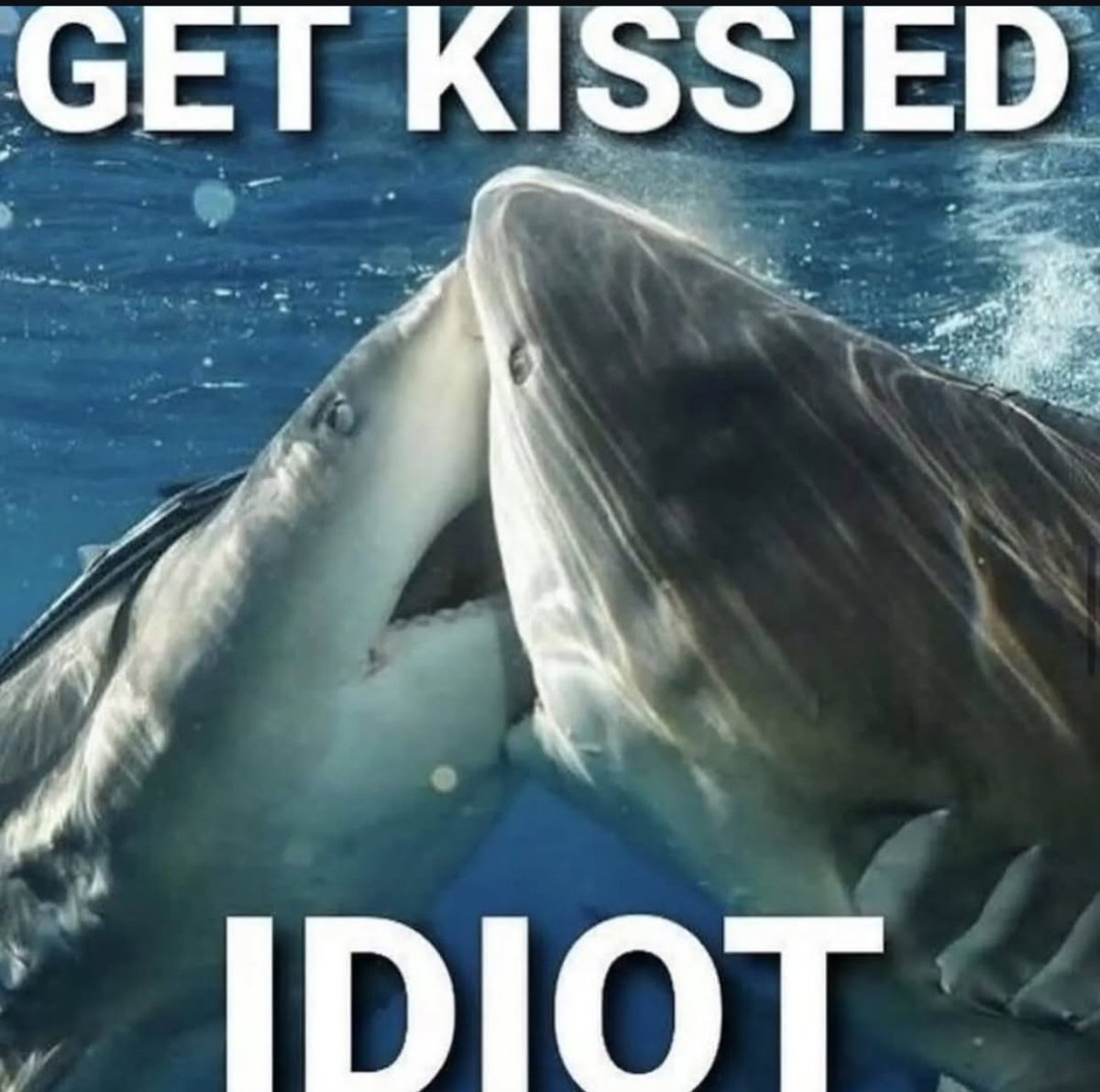 Mint (@mintlosthope) on Twitter photo 