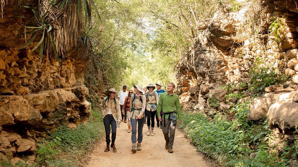 How a Yucatan jungle hike could help revive Mexico's ailing Maya communities buff.ly/yXQxpUI via <a href="/NatGeo/">National Geographic</a>