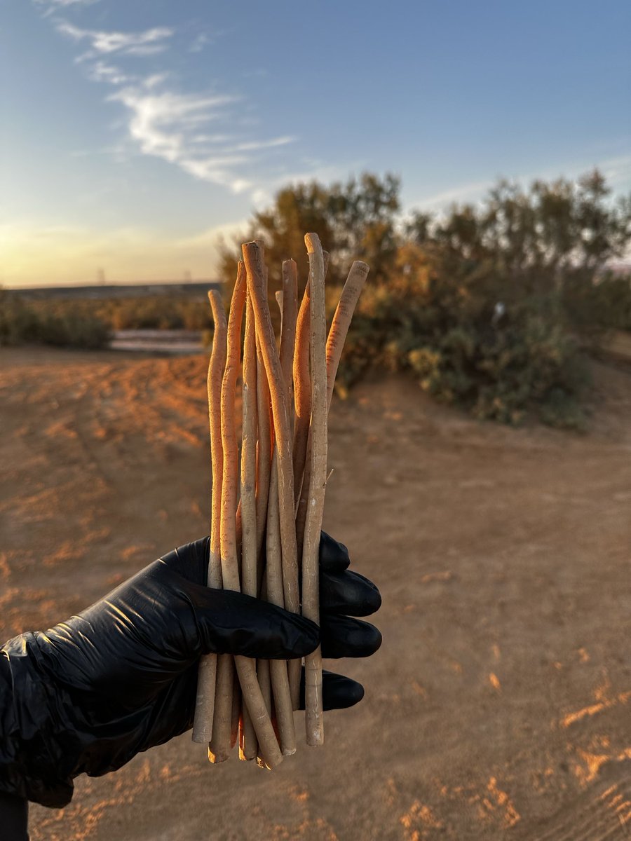 متجر ابو حنش للسواك tweet media