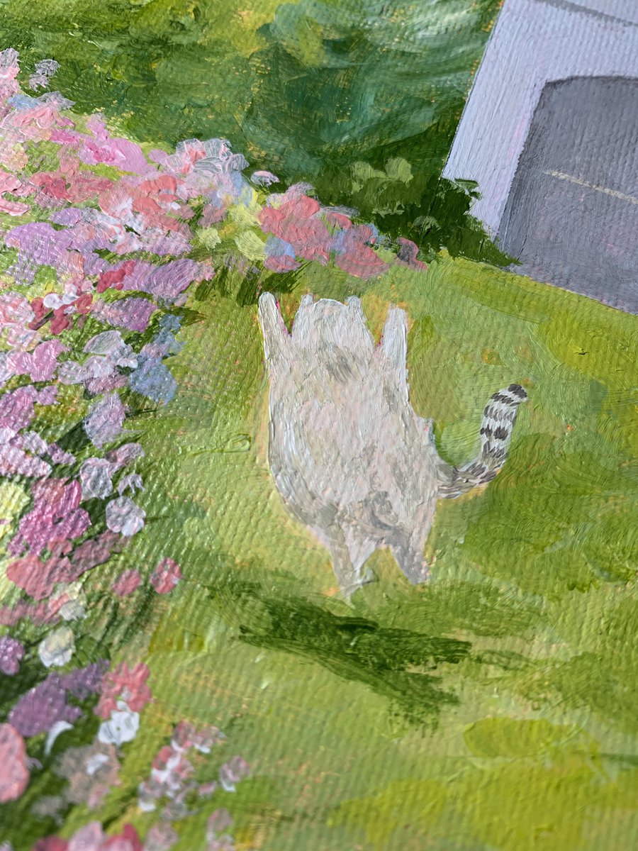 เปนแมวให้นุเถอะ 🙏🏻