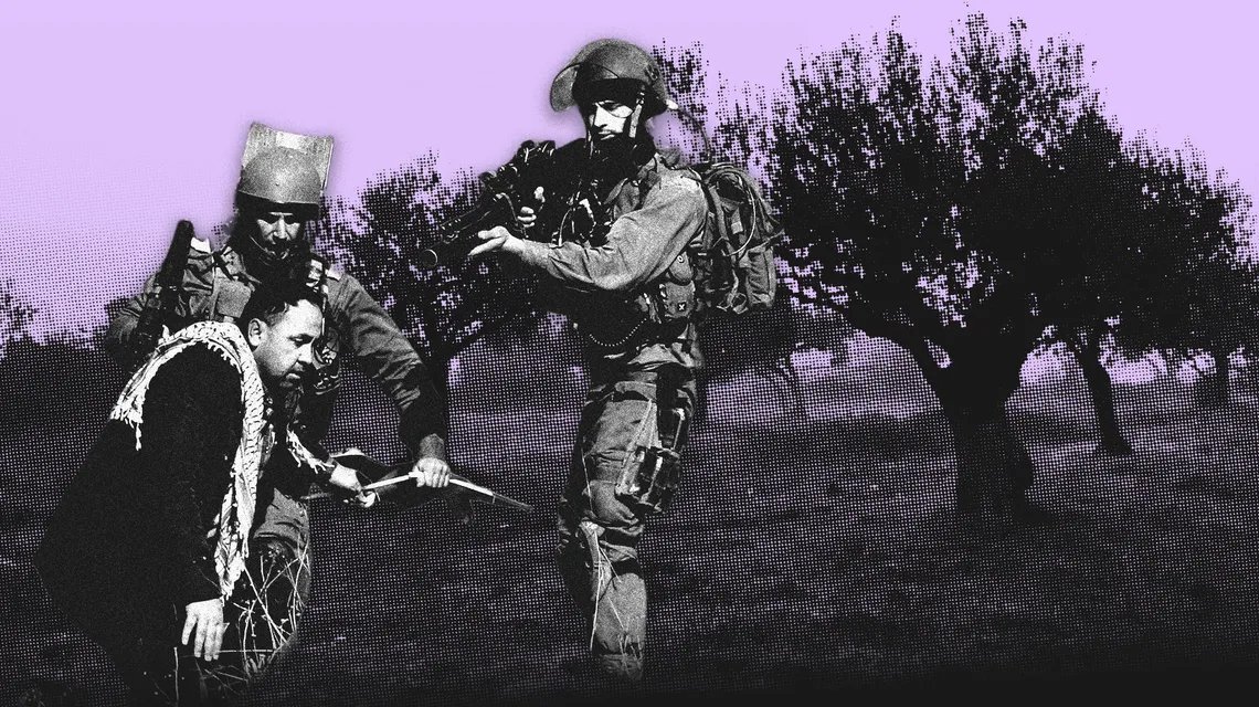 En Palestine, l’impossible récolte des olives

Rythmée par la sécheresse et les attaques de colons israéliens d’une  violence sans précédent, la récolte des olives de l’automne 2025 en  Cisjordanie occupée est l’une des pires jamais enregistrées. Cette  année, la production