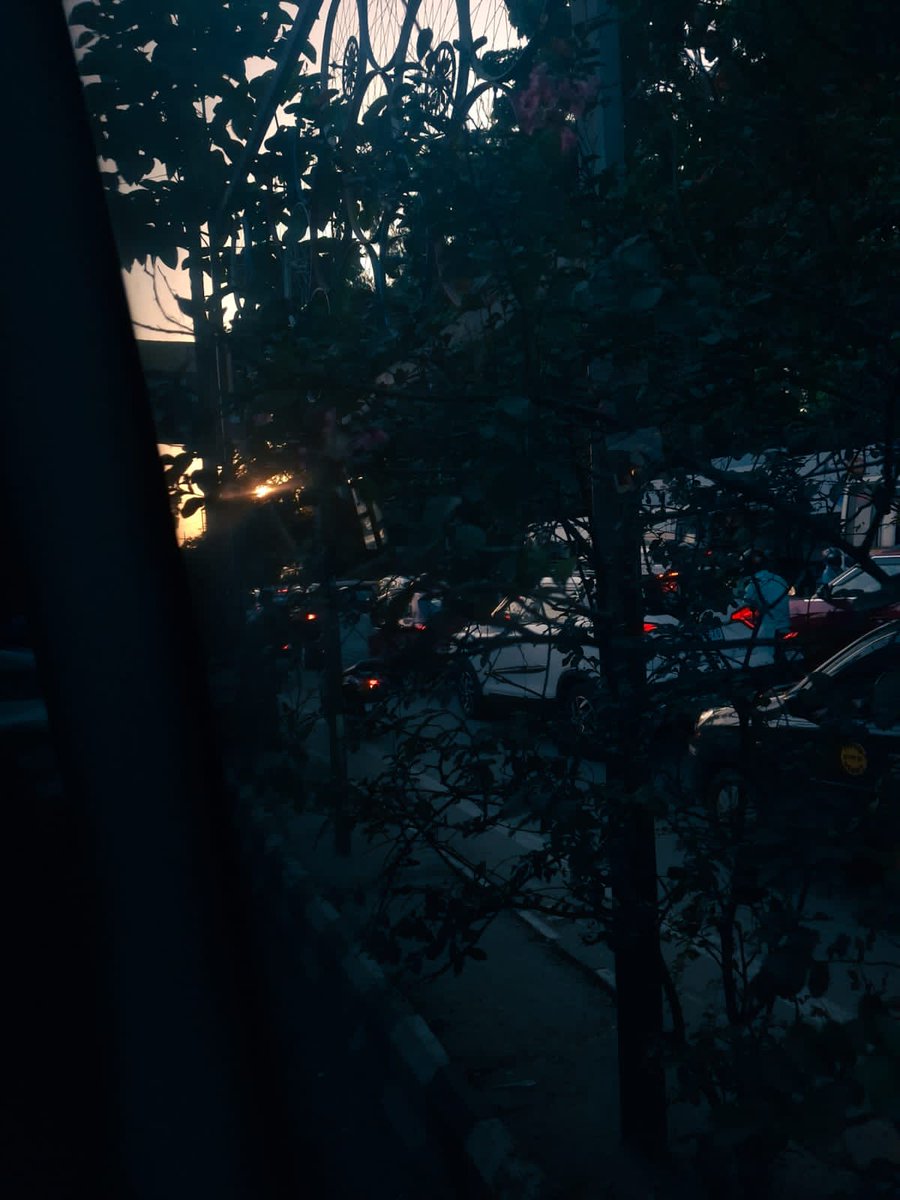 Sweet dream friends 💤

good night 🌕