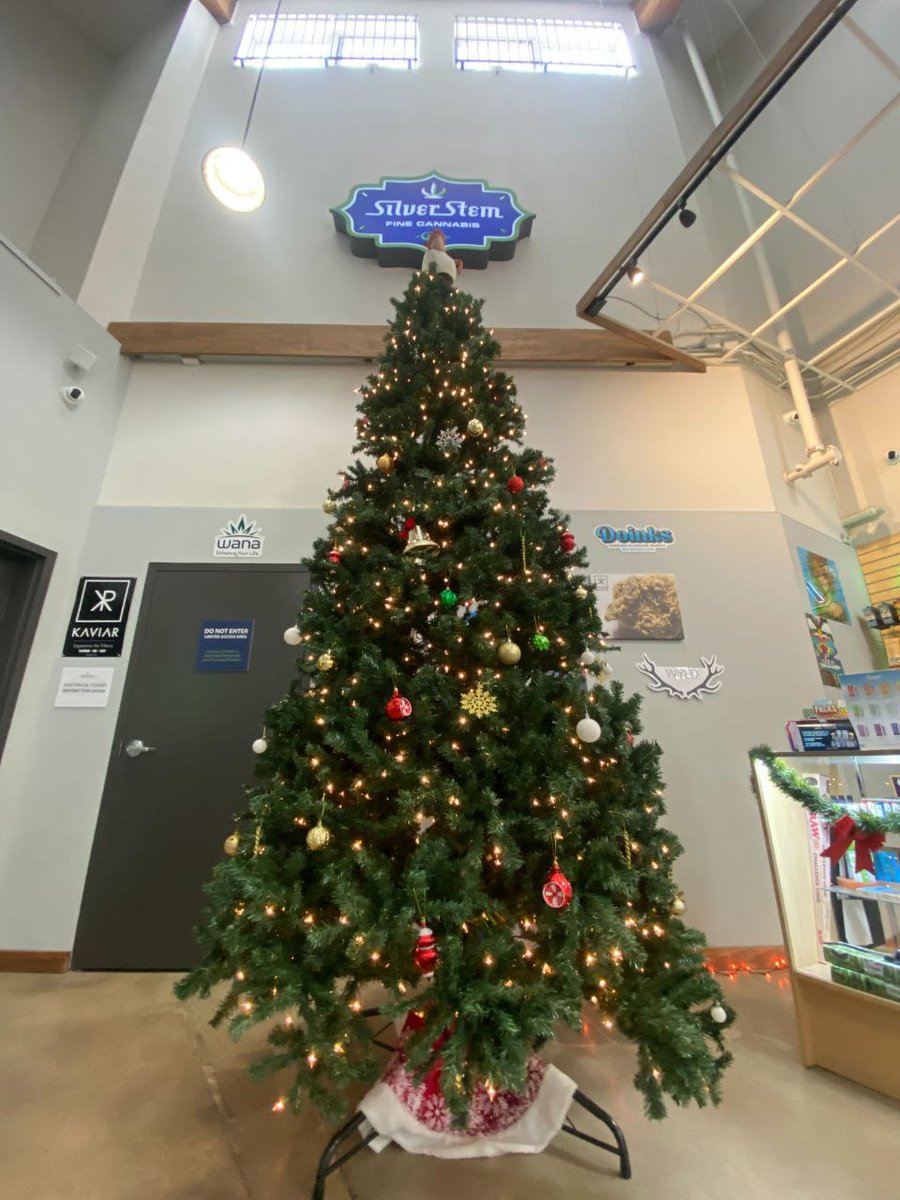 Silver Stem Fine Cannabis Dispensaries | CO & OR tweet media