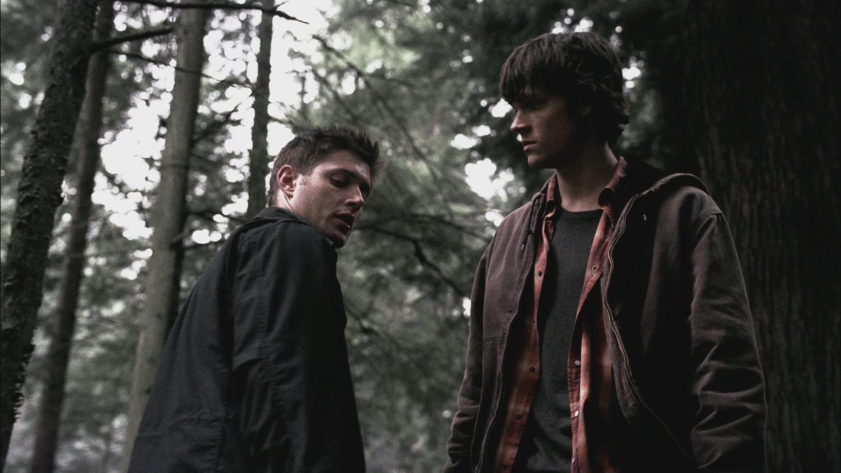 spn_aesthetic's tweet image. Anybody else prefer the monster of the week episodes over storyline episodes?