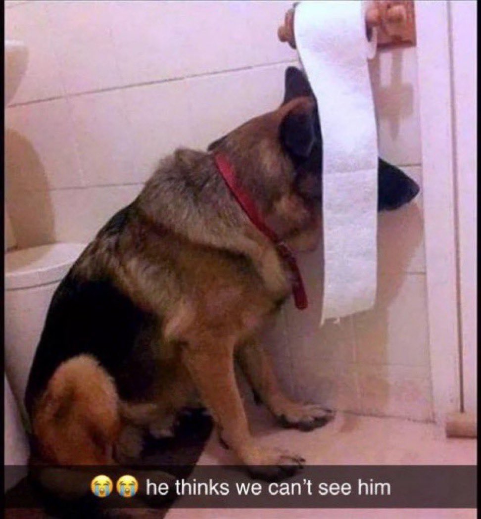 dou_lean's tweet image. 