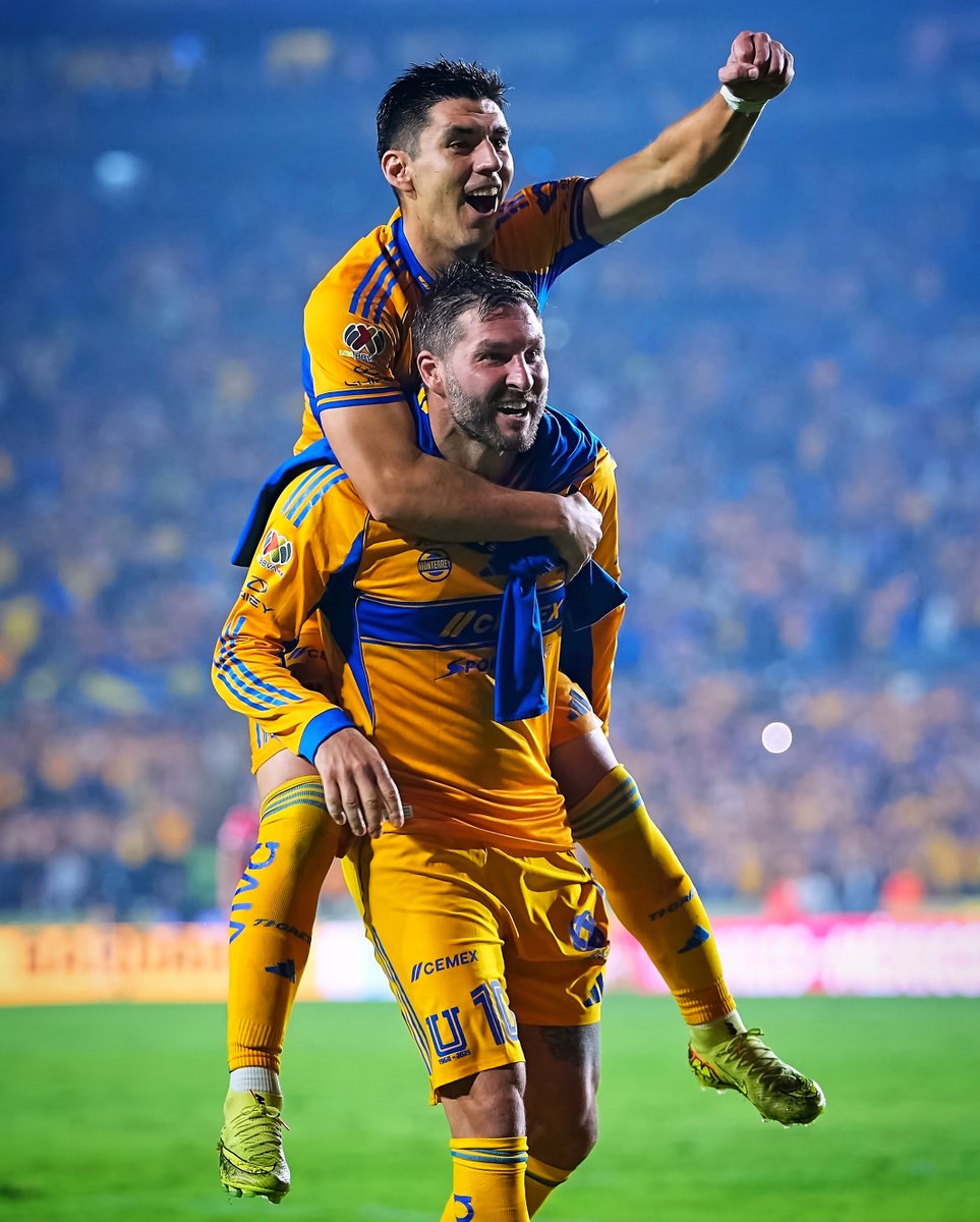 Club Tigres 🐯 tweet media