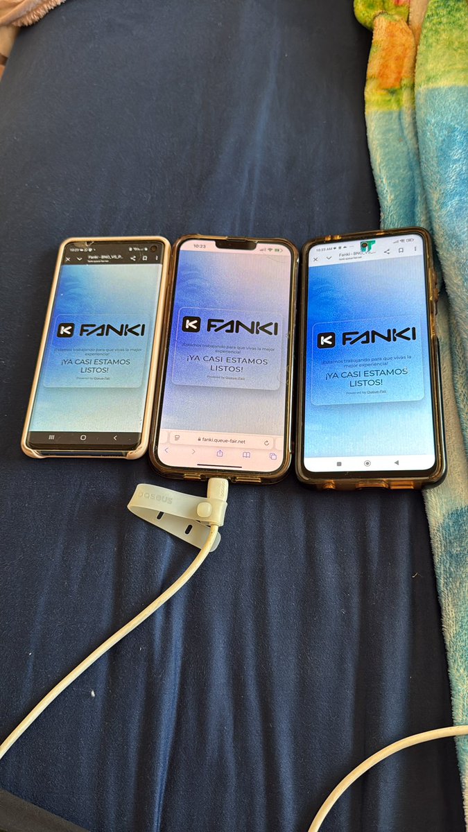 Fabiola Bravo tweet media