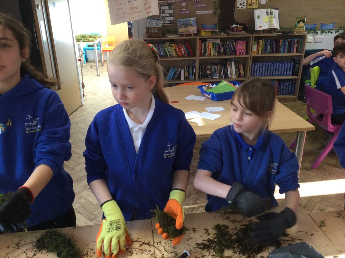 WhitegateOak tweet media