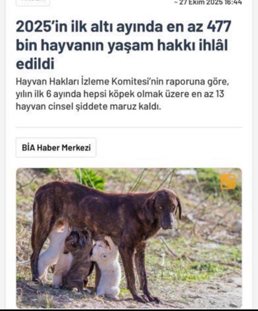 Dilaraerkmen_'s tweet photo. Yaptığınız algılarla sadece 6 ayda EN AZ 477 binin hayvan canından oldu.

Hayvanların dili yoktur ama AHI vardır.

Kırdığın kadar kırılır.

Ağlattığın kadar ağlarsın.

İLAHİ adalet YÜKLENİYOR.

#ZulmeOrtakOlmayacağım https://t.co/psStsqrH3a