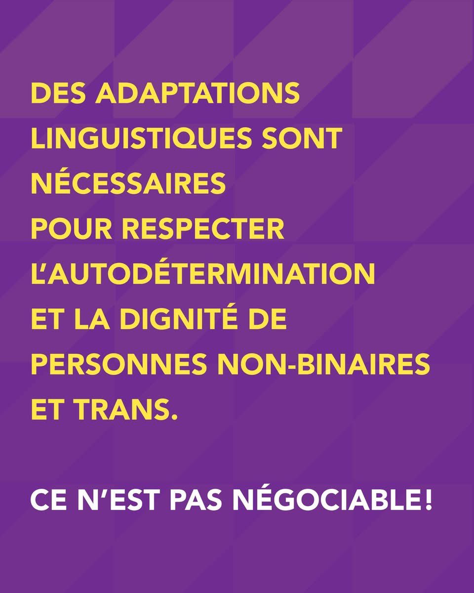 SniffannyQueb's tweet photo. 1/2
Conseil québécois LGBT : La #CAQ continue de s’acharner sur nos communautés.
Ça ne se passera pas comme ça. #Legault #antitrans #discrimination #droitstrans #polqc https://t.co/byo2Ty8Nh5