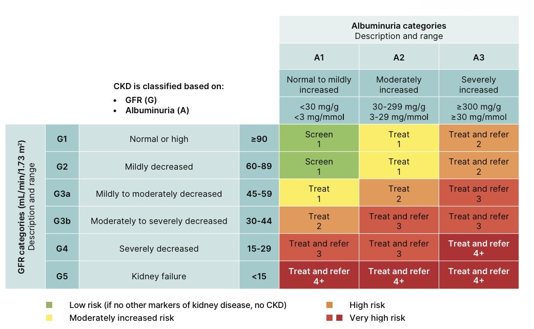 Owner_X429's tweet photo. Management of Chronic Kidney Disease in People with Diabetes
Reflections from the latest ADA 2026 Standards of Care Guide. https://t.co/KByEIVphea
