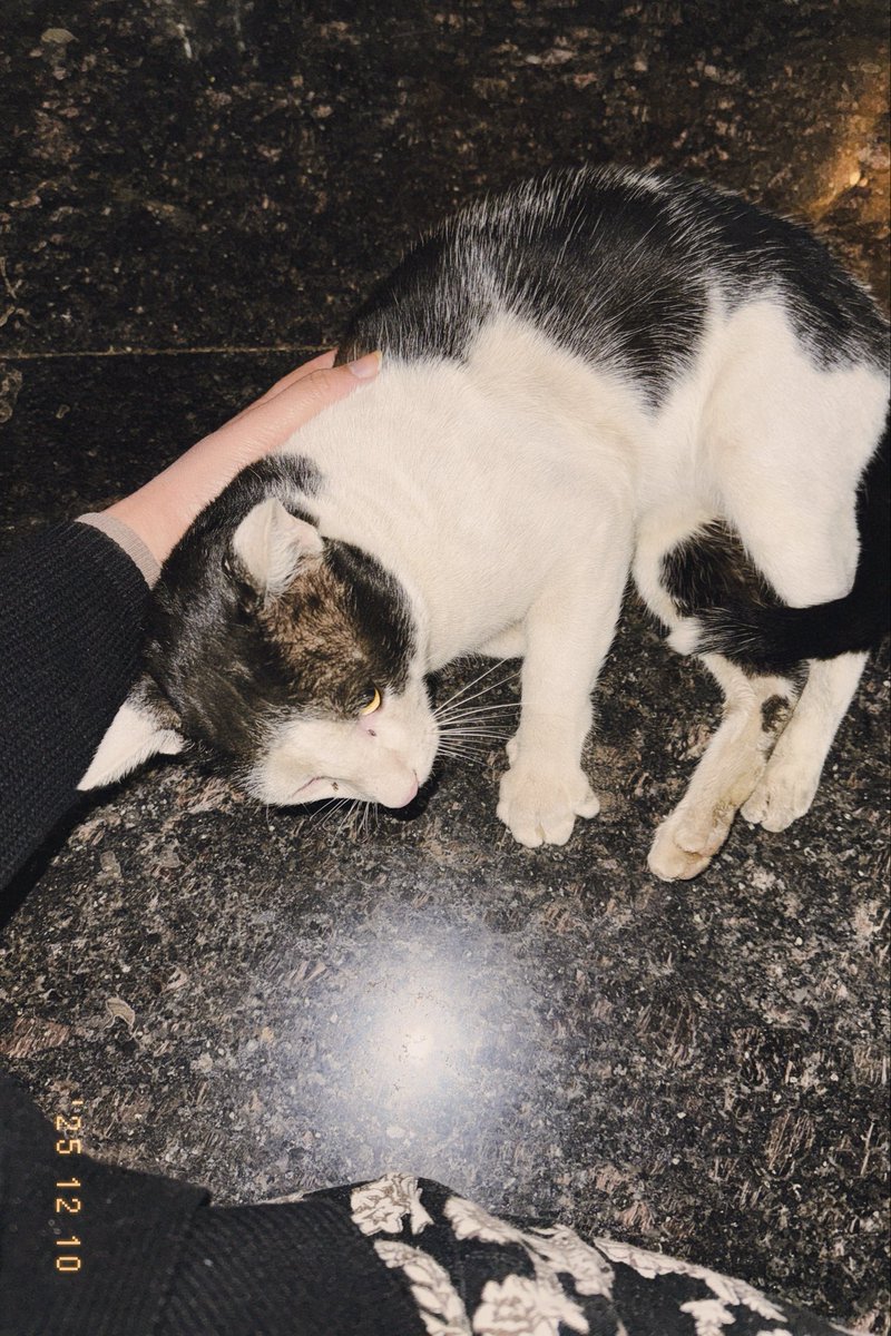 sha___ily's tweet photo. Aaaaand she came to visit again!!!! 🥰🥰🥰🥰 https://t.co/KcyoDfdS6f